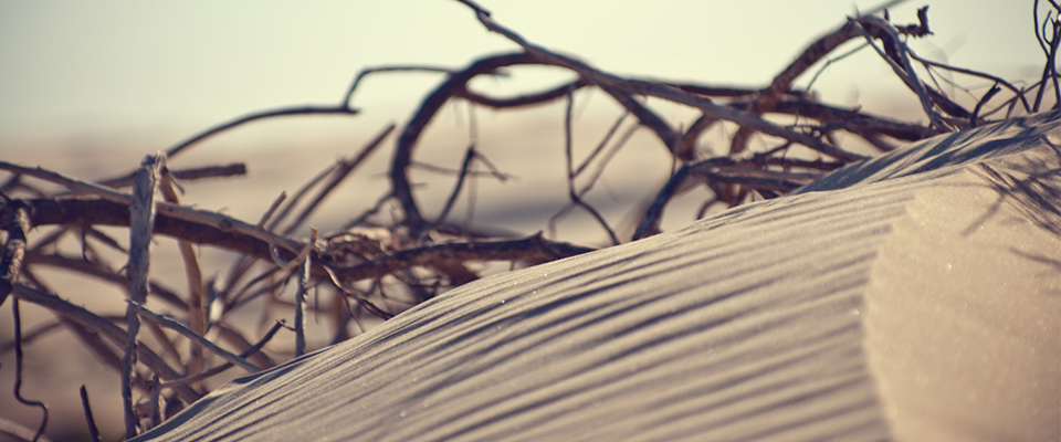 Stockton Beach 2